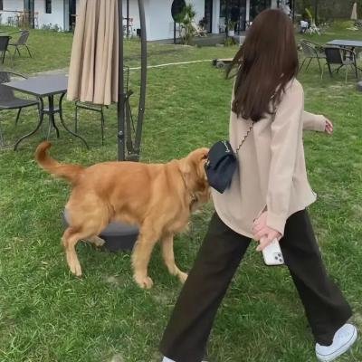 好玩派对2
